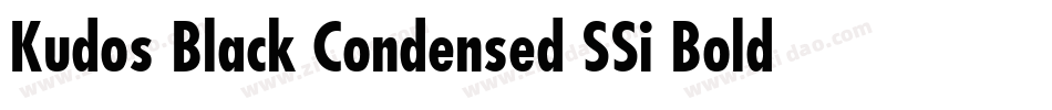 Kudos Black Condensed SSi Bold Condensed Italic字体转换